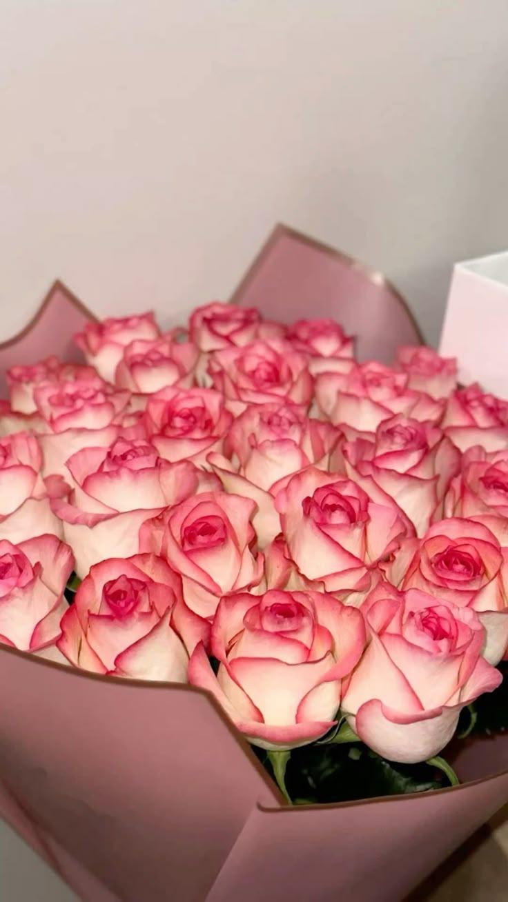 Eternal Romance: Velvet Rose Harmony